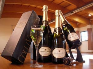 Bottiglie_Colli_Vicentini