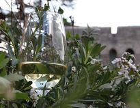 pignoletto_2-2-_205x158_1