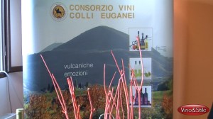 consorzio colli euganei