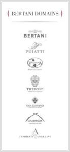 ??????????????????????