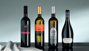 Vini di Merlara
