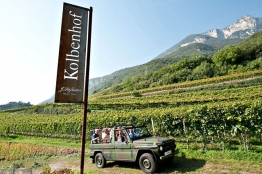 hofstaetter gewurztraminer