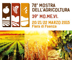 840ba5_7a2b726a63d54337ae3ae57caf9c7a61_jpg_srz_300_250_75_22_0_50_1_20_0