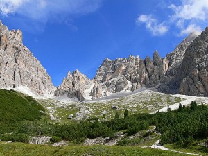 4458947430_6319cab1e8