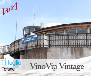 vinovip-banner-tasting-tofane
