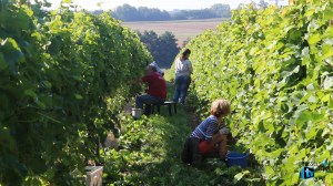 MVI_2992.MOV.Still001