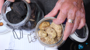 mvi_3811-mov-still005-1