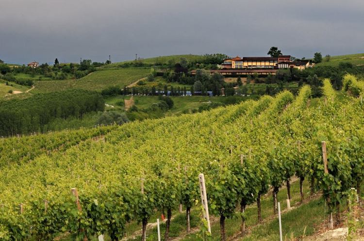 12744749_1718738098408936_3364283825576203129_n