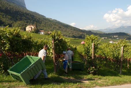 a3ba4c5f-d0a5-4916-90ed-09fc29c00999