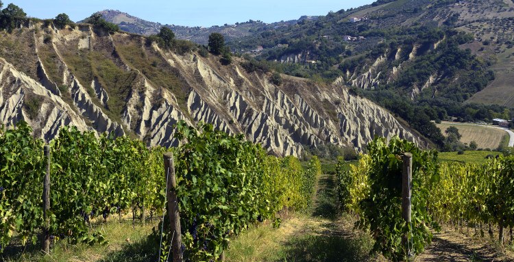 bf383-villagemma-back