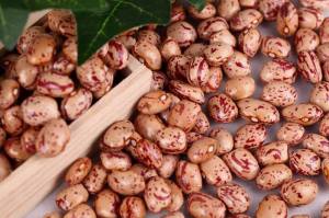 1233202_1416271985251009_2065889691_o