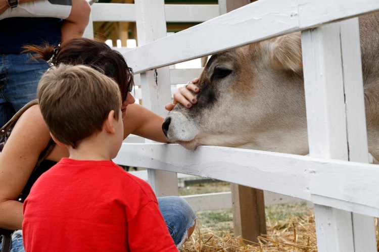 rural-festival-bambini-e-animali