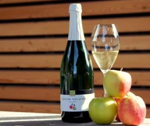 e4b9489f-b6e1-46c9-a6a5-fe945ae9ebed