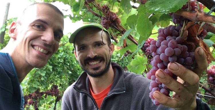 f84610cb-e119-4d03-9f06-6002f55aa9fc