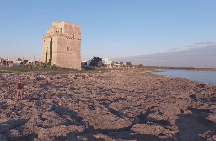 ph_agenzia_amigdala_bassa