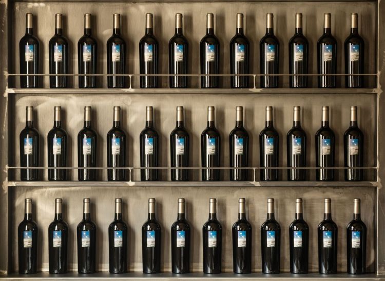 campo-alle-comete_sala-degustazione-particolare