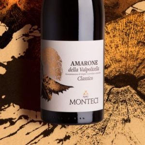L’AMARONE CLASSICO BIO DELLA VALPOLICELLA DOCG: UN “ERRORE&nbsp;DI-VINO”