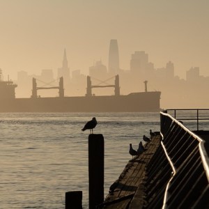 VINITALY: COLDIRETTI, I PRIMI EFFETTI DEI DAZI SUI PRODUTTORI&nbsp;ITALIANI