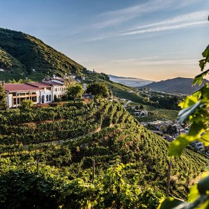 Il Valdobbiadene DOCG Extra Brut Cuvée Ø di Col&nbsp;Vetoraz