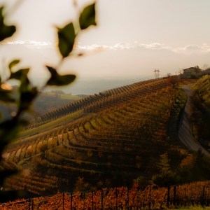 UNA “OLD START UP DI 125&nbsp;ANNI”