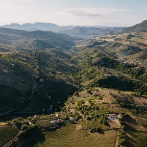BAGLIO DI PIANETTO CONCENTRA I PROPRI VIGNETI SULLE ALTURE DI&nbsp;PALERMO