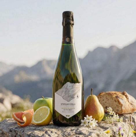 ARRIVA DALLE DOLOMITI BELLUNESI LA LINEA VINI “STEFANO POLA” CHE RACCONTA LA “VITICOLTURA DI&nbsp;MONTAGNA”