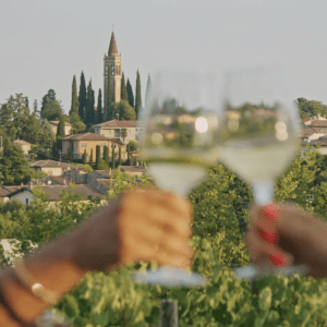 Custoza DOC, il 2026 della maturità&nbsp;strategica