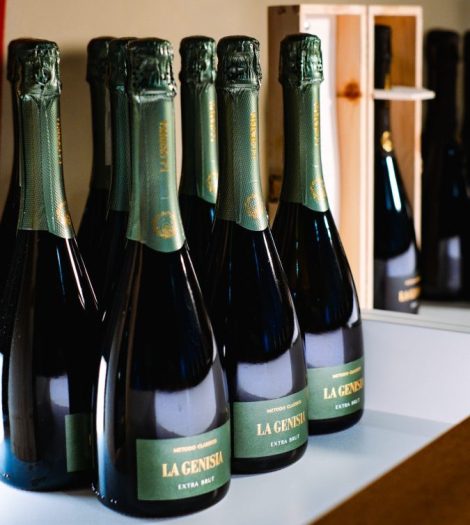 A VINITALY 2026 DEBUTTA LA GENISIA  E IL SUO&nbsp;CLASSESE