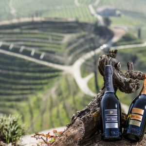 COL VETORAZ Nella magia di colline iconiche, un’unica destinazione per vivere infinite esperienze sensoriali, dal territorio, alla degustazione,&nbsp;all’arte
