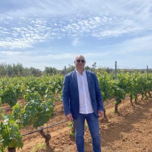 “NOTE DI VENDEMMIA”: LE VOCI DAI TERRITORI SULLA RACCOLTA&nbsp;2026