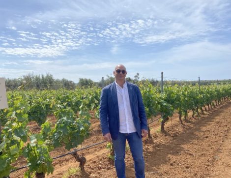 “NOTE DI VENDEMMIA”: LE VOCI DAI TERRITORI SULLA RACCOLTA&nbsp;2026