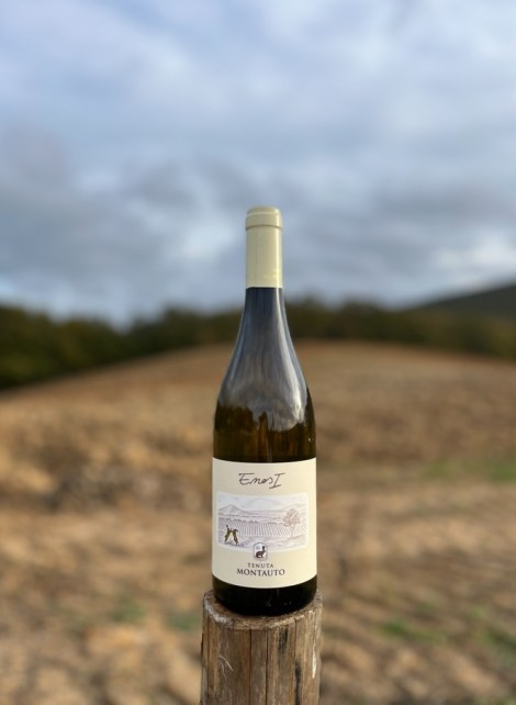Riconferma per Enos I: Tenuta Montauto conquista di nuovo i Tre Bicchieri del Gambero Rosso con il Sauvignon V. V.&nbsp;2025