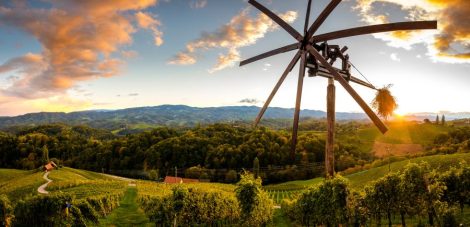 Stiria slovena: miglior regione vitivinicola d’Europa&nbsp;2027