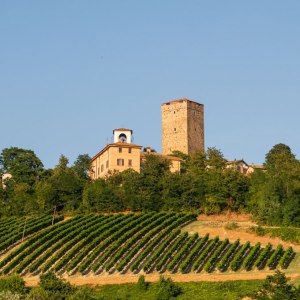 VINO, LOMBARDIA: OLTREPÒ +60% EXPORT, SEI VOLTE&nbsp;L’ITALIA